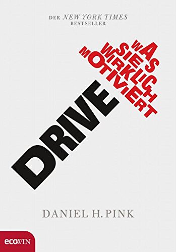 Buchtipp Drive - Motivation