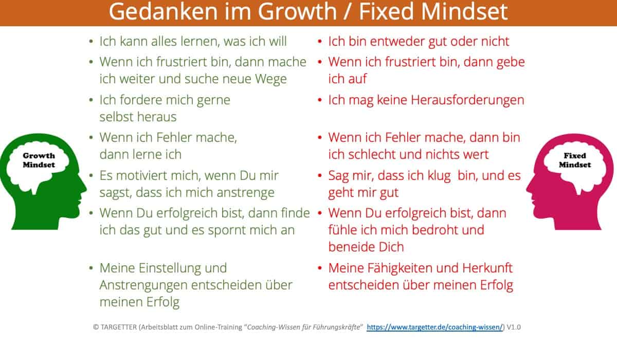 Fixed Growth Mindset Axel Rittershaus Coaching