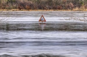 Schwarzer Schwan Hochwasser Schröder Bundestagswahl 2002