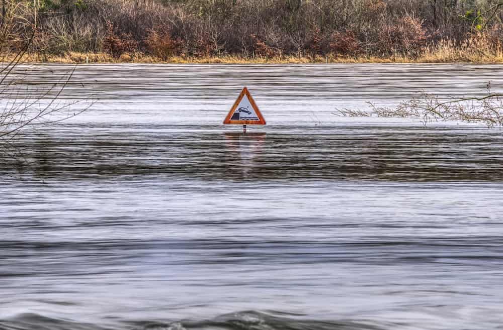 Schwarzer Schwan Hochwasser Schröder Bundestagswahl 2002