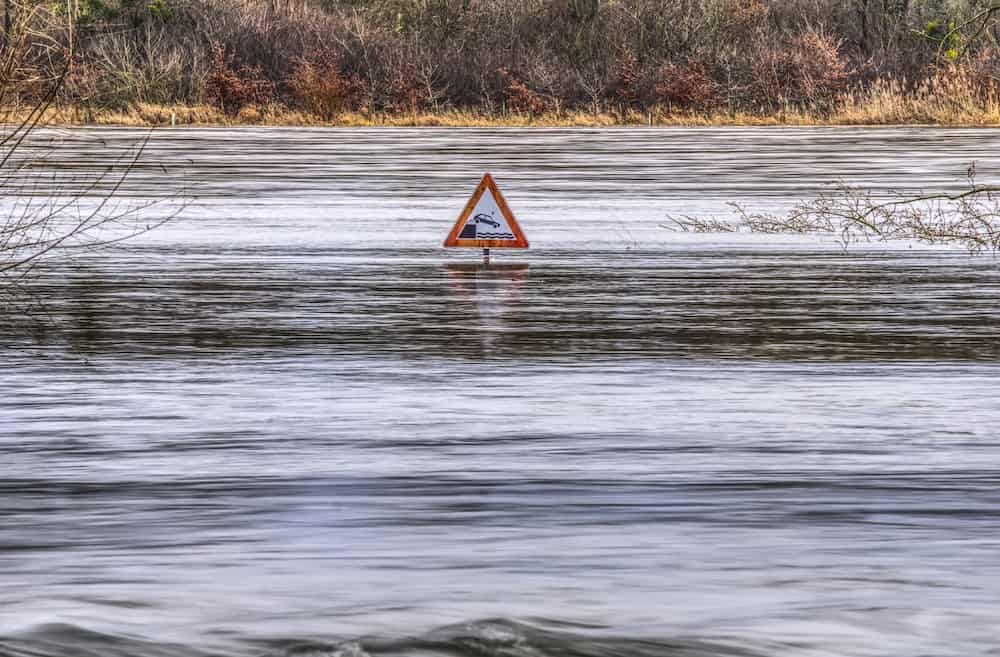 Schwarzer Schwan Hochwasser Schröder Bundestagswahl 2002