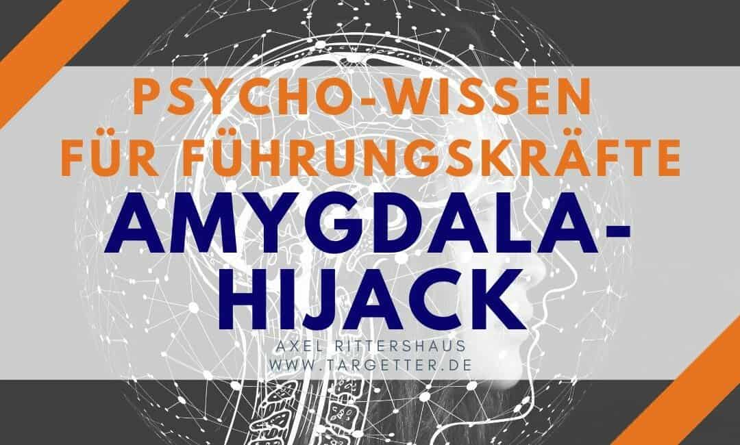 Amygdala Hijack oder „Wenn die Sicherung durchbrennt“ Psycho-Wissen für Führungskräfte