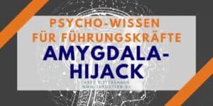 Amygdala Hijack - Wenn die Sicherung durchbrennt Psycho Wissen für Führungskräfte