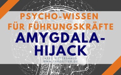 Amygdala Hijack oder “Wenn die Sicherung durchbrennt” Psycho-Wissen für Führungskräfte