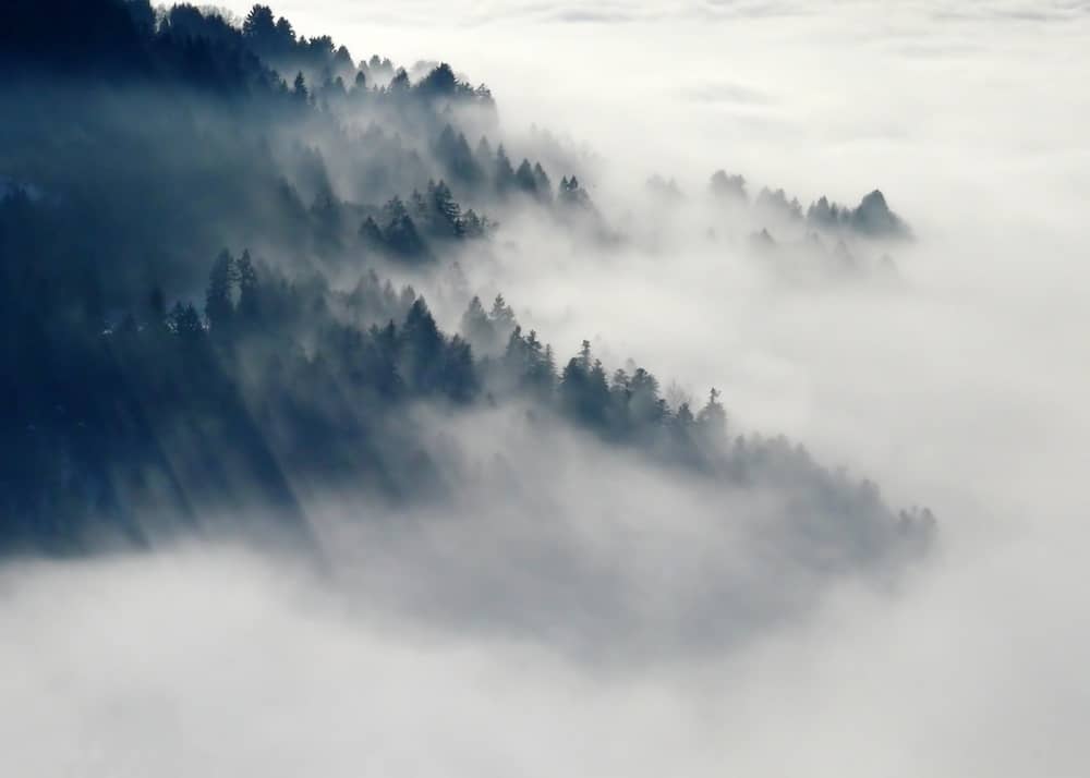 Ihr Karrierewunsch muss wahrnehmbar sein und nicht im Nebel verschwinden